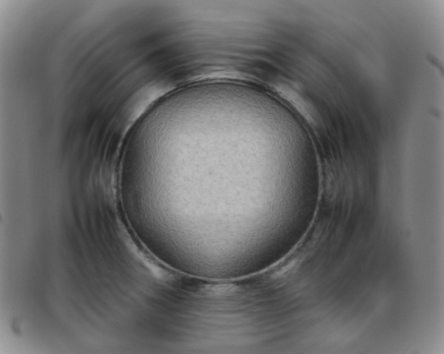 X0000097781282200803141759