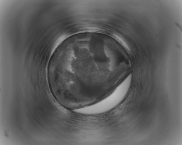X0000097781283200803141759
