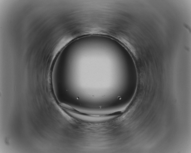 X0000097781285200803141759