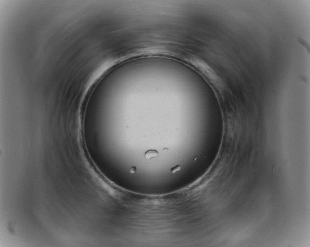 X0000097781286200803141759