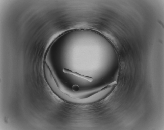 X0000097781288200803141759