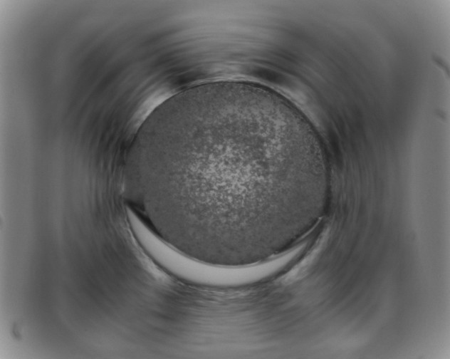 X0000097781289200803141759