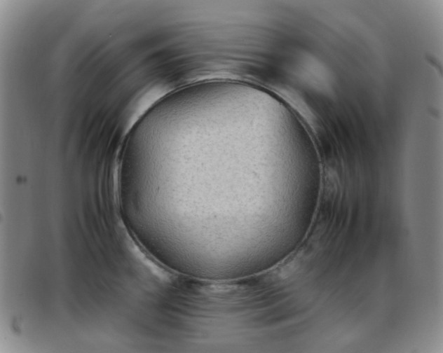 X0000097781290200803141759