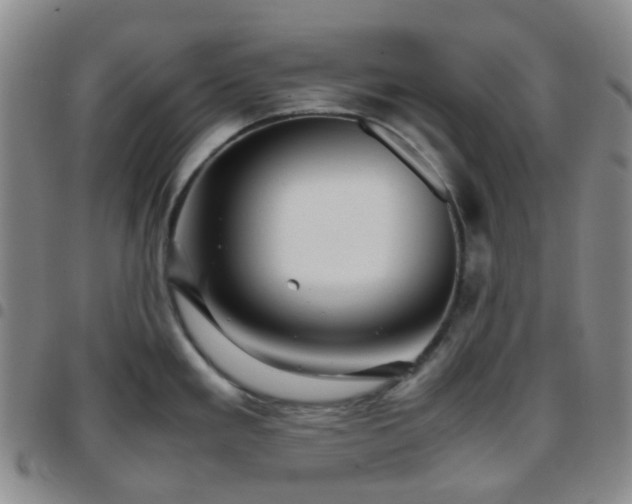X0000097781293200803141759