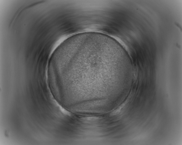 X0000097781294200803141759