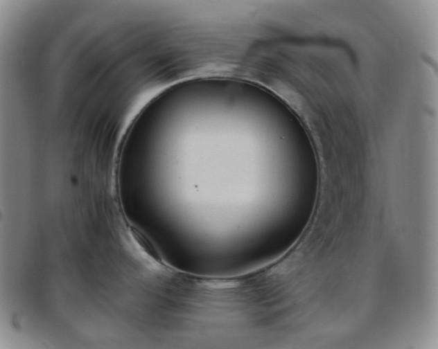 X0000097781296200803141759