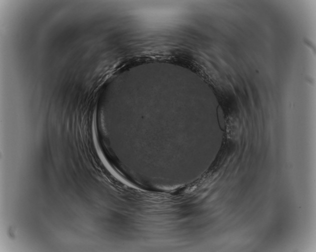 X0000097781298200803141758