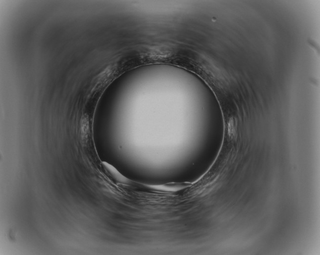 X0000097781299200803141758