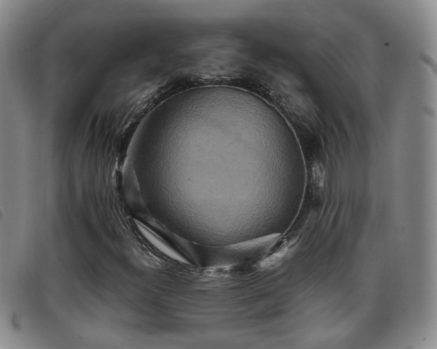 X0000097781300200803141758