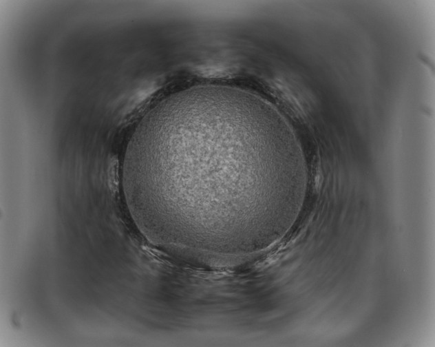 X0000097781301200803141758