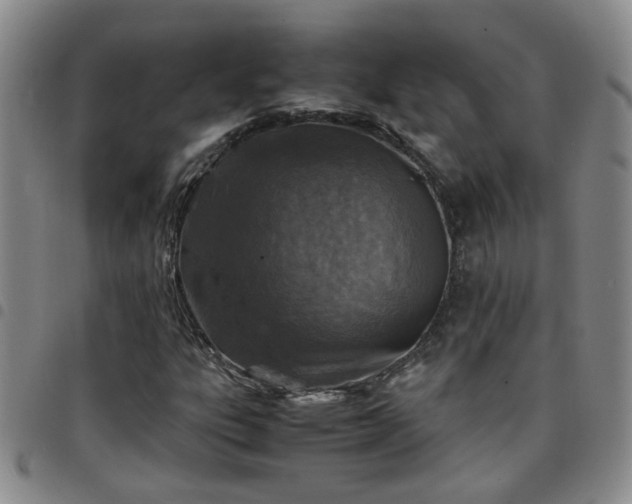 X0000097781303200803141758