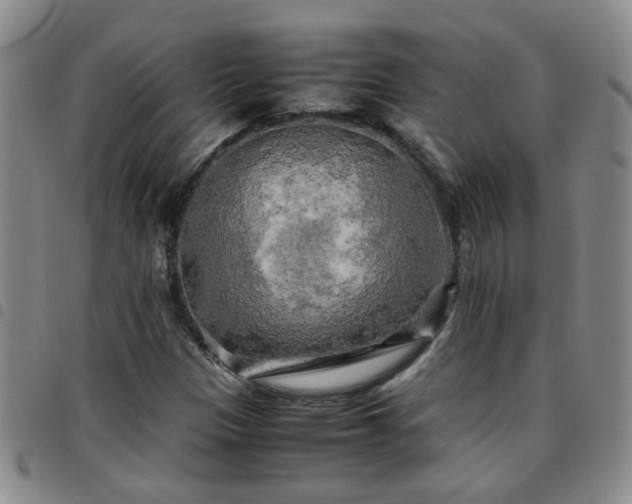 X0000097781305200803141758