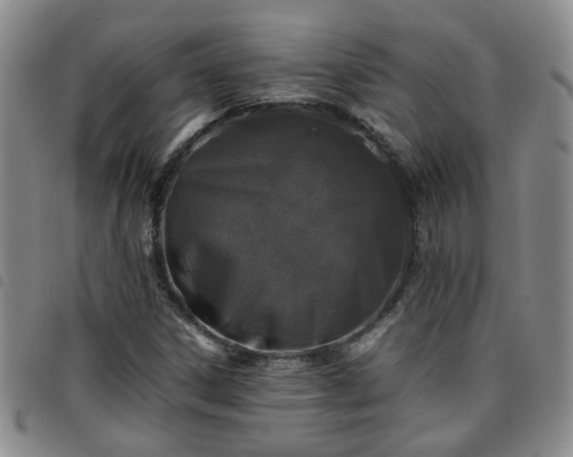 X0000097781306200803141758