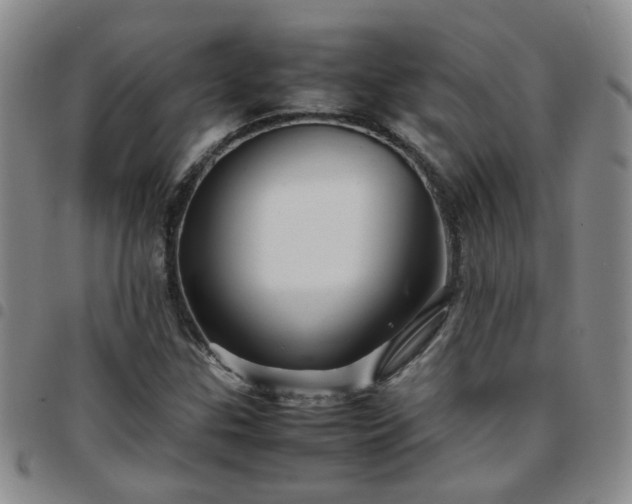 X0000097781307200803141758