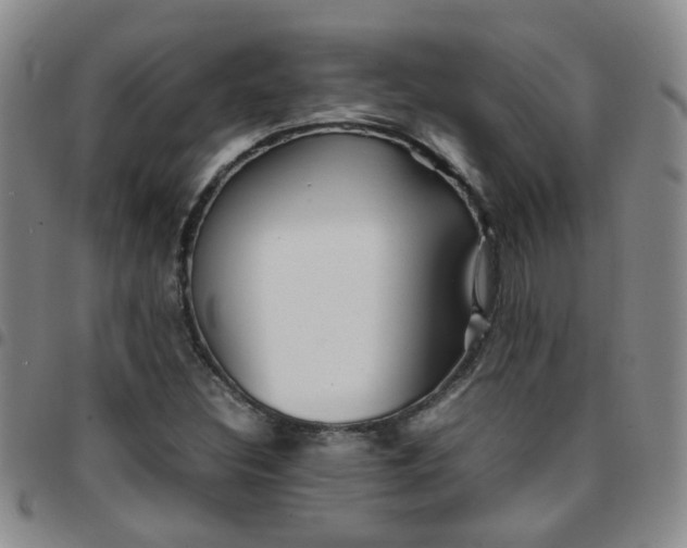 X0000097781308200803141758