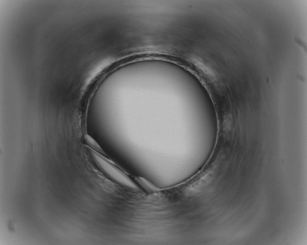 X0000097781310200803141758