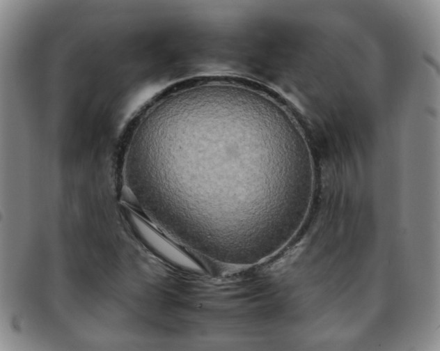 X0000097781311200803141758