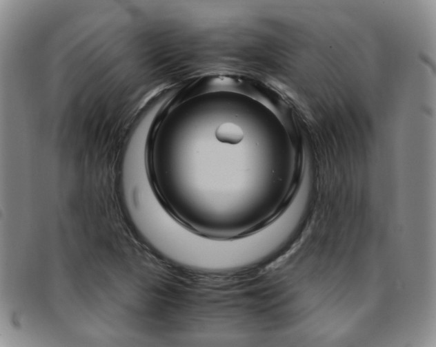 X0000097781313200803141758