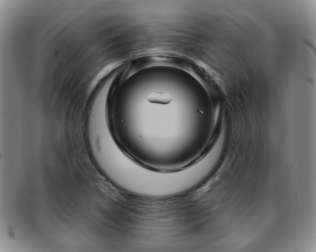 X0000097781314200803141758