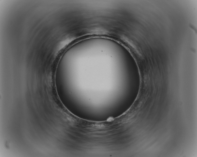 X0000097781315200803141758