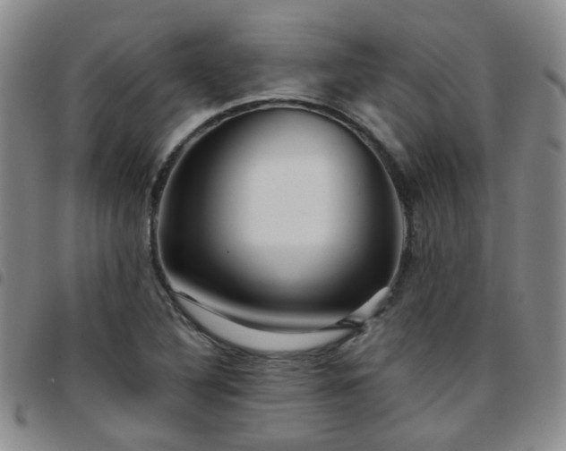 X0000097781316200803141758
