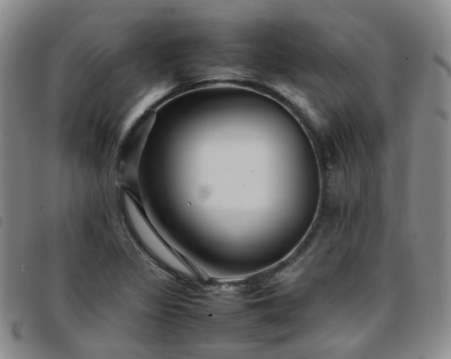 X0000097781317200803141758