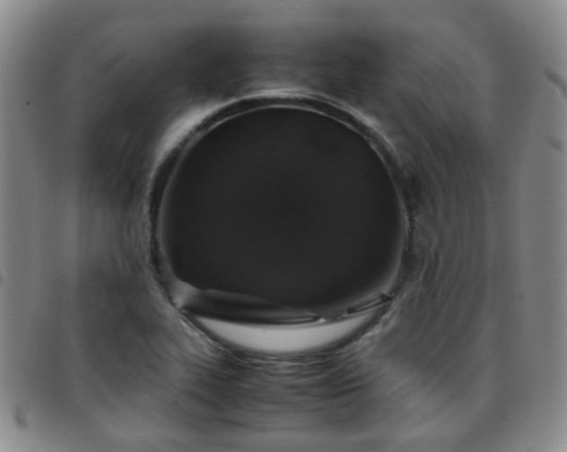 X0000097781319200803141758