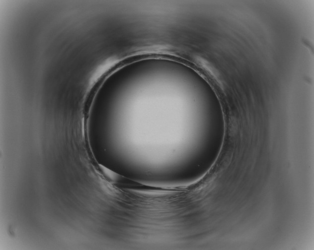 X0000097781320200803141758