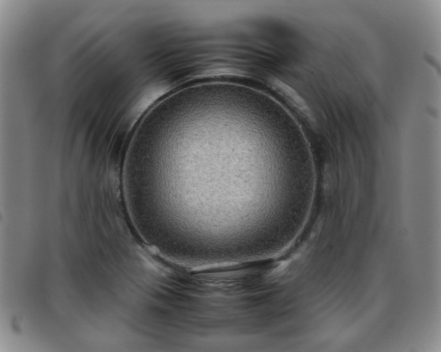 X0000097781321200803141758