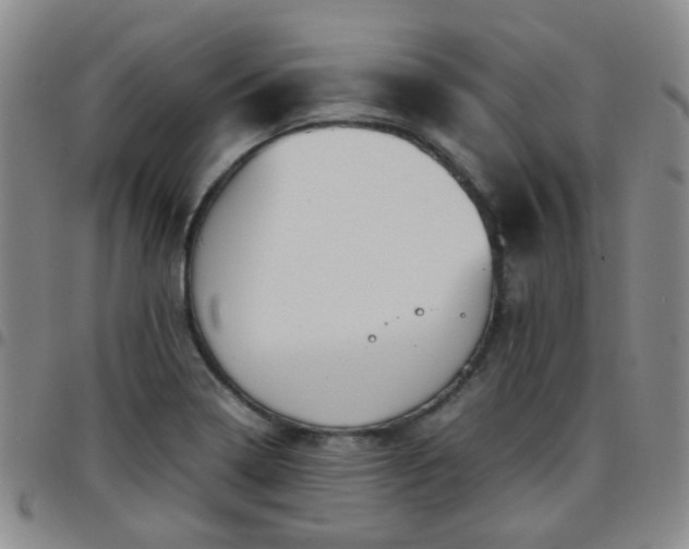 X0000097781322200803141758
