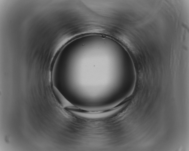 X0000097781324200803141759