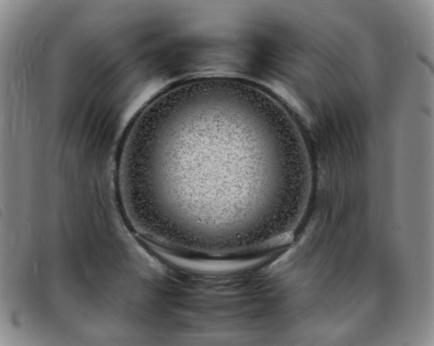 X0000097781325200803141759