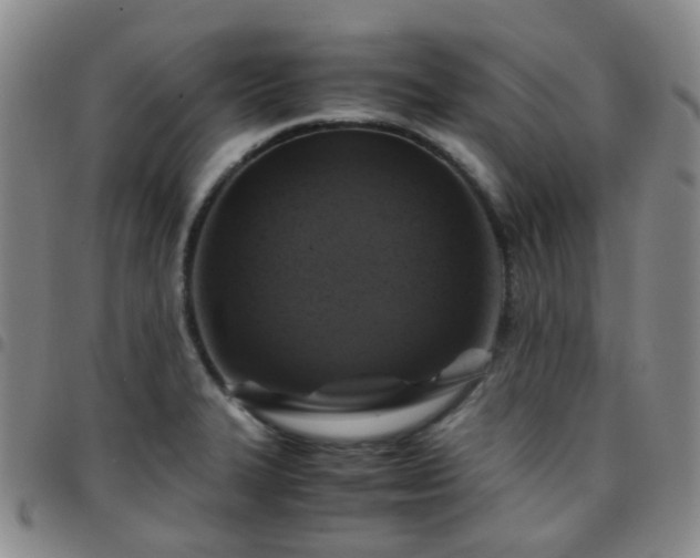 X0000097781327200803141759