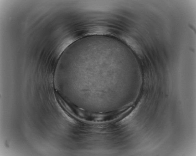 X0000097781329200803141759