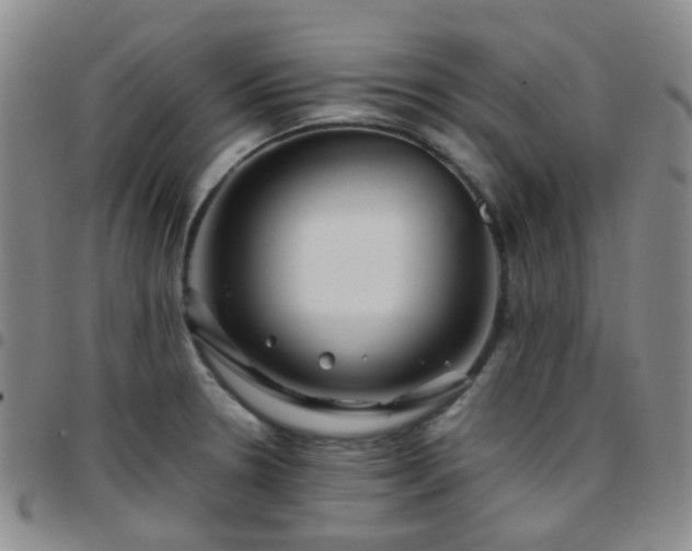 X0000097781330200803141759