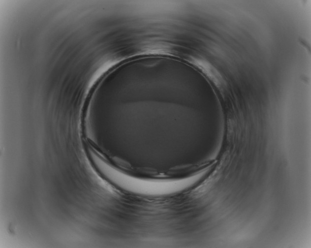 X0000097781331200803141759