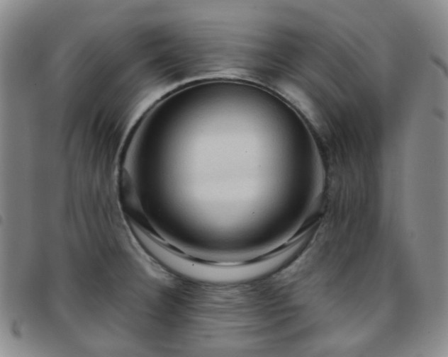 X0000097781332200803141759