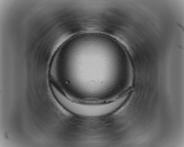 X0000097781333200803141759