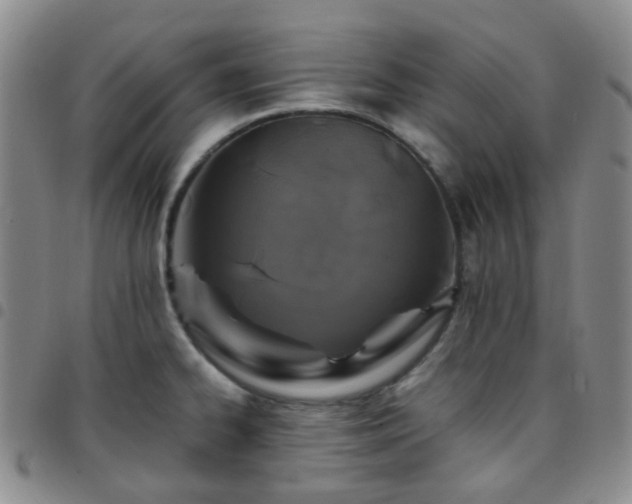 X0000097781334200803141759