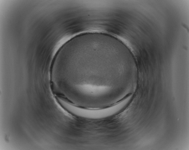 X0000097781335200803141759