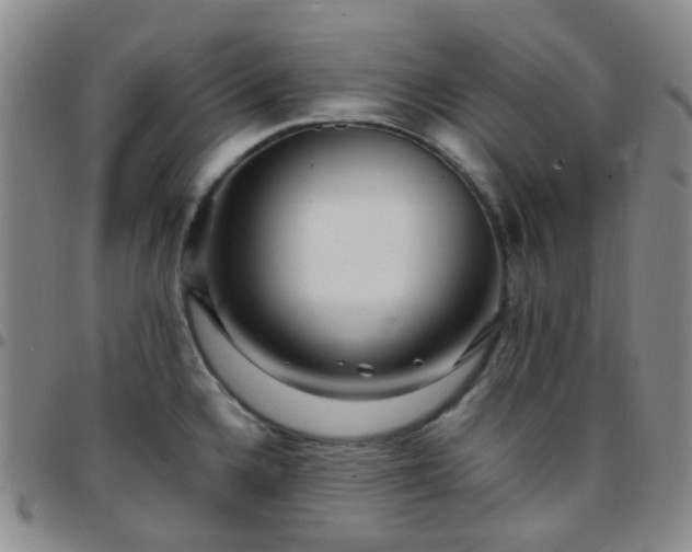 X0000097781336200803141759