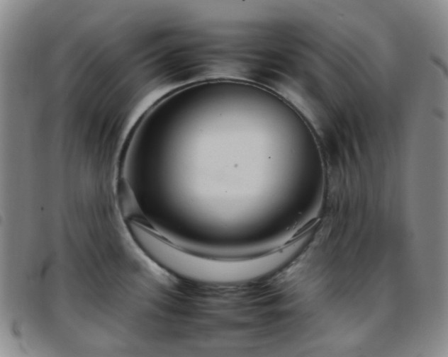 X0000097781339200803141759