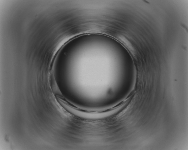 X0000097781340200803141759