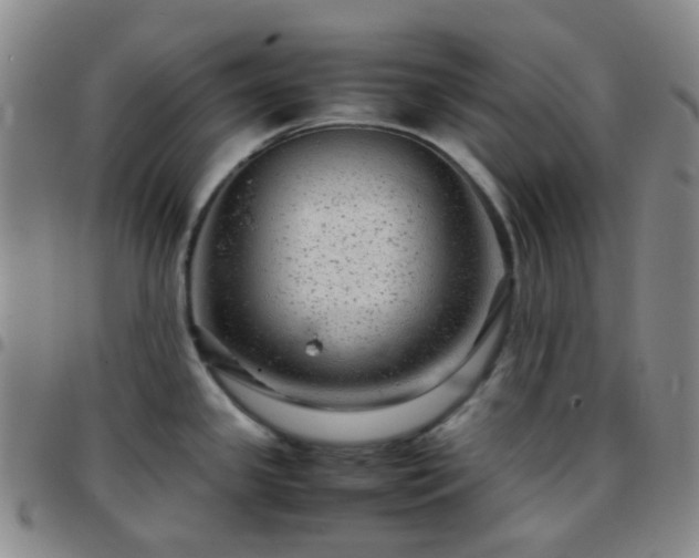X0000097781341200803141759