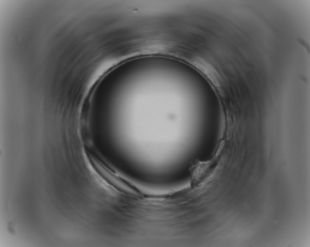 X0000097781342200803141759