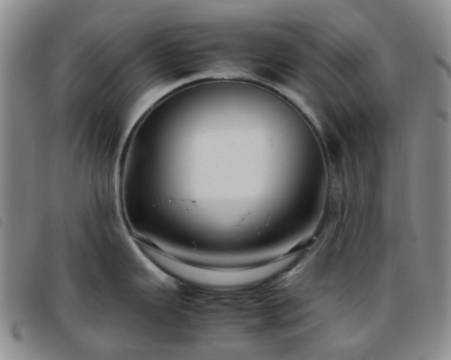 X0000097781343200803141759