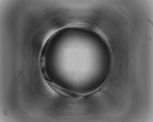 X0000097781344200803141759