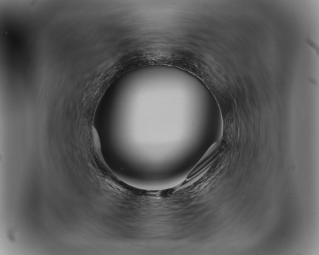 X0000097781345200803141758