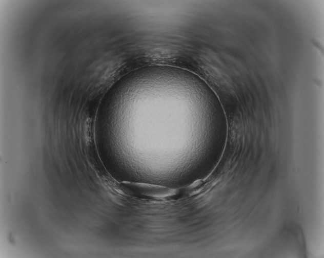 X0000097781346200803141758