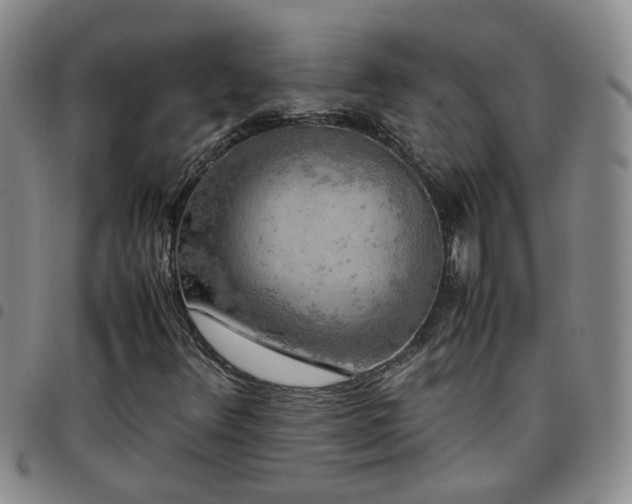 X0000097781348200803141758